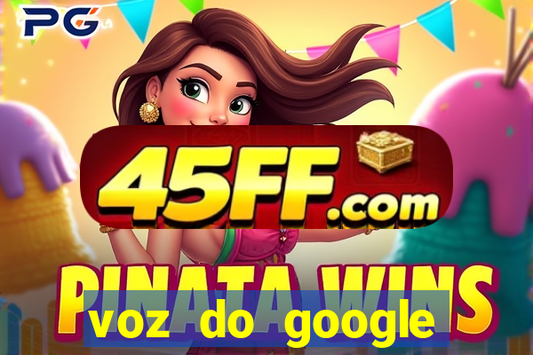 voz do google tradutor homem